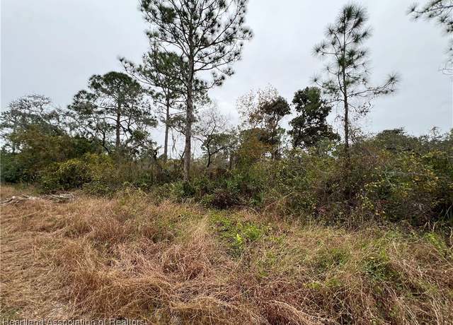Property at 345 Moon Ave, Lake Placid, FL 33852