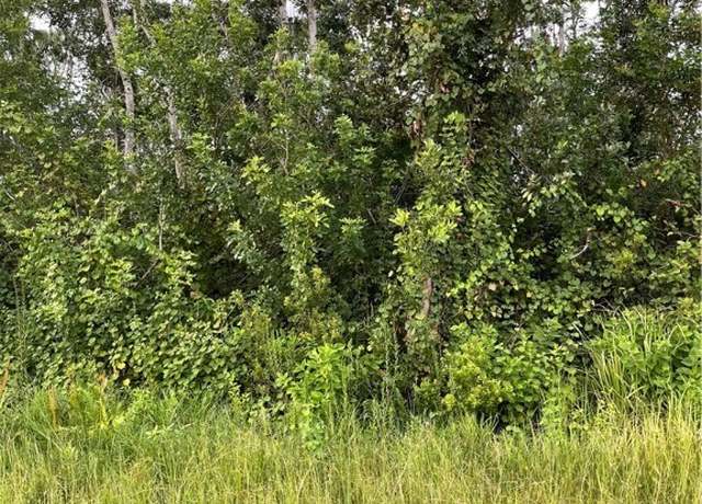 Property at 8046 Ancha St, Sebring, FL 33872