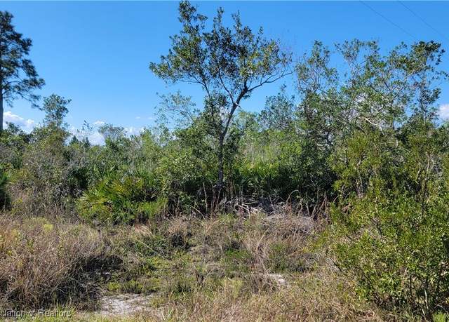 Property at 1061 Riding Dr, Lorida, FL 33857