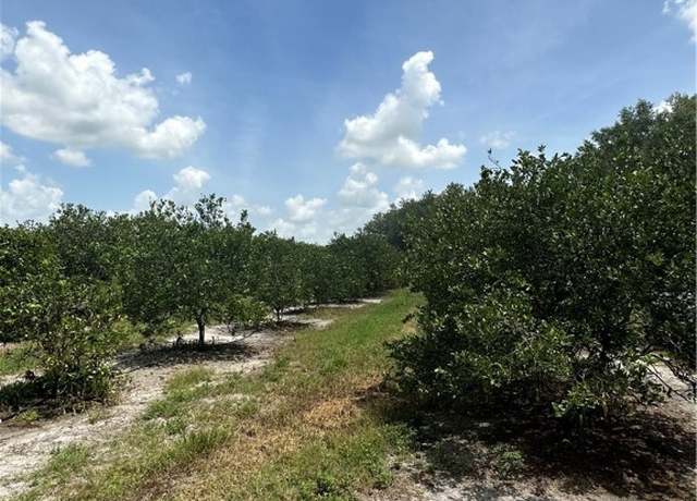 Property at Prescott Rd, Zolfo Springs, FL 33890