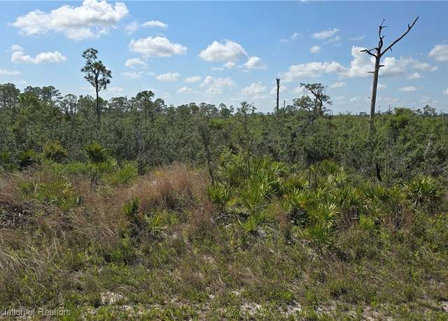 Property at 3116 Emory Ave, Lake Placid, FL 33852