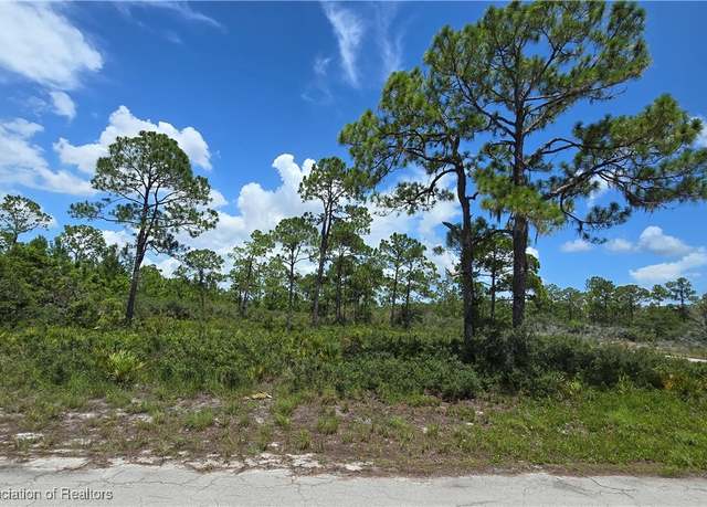 Property at 3357 Durrell Ave, Lake Placid, FL 33852