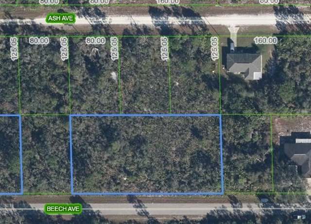 Property at 3021 Beech Ave, Lake Placid, FL 33852