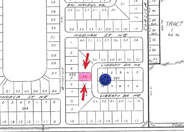 Property at 205 Liberty Dr NE, Lake Placid, FL 33852