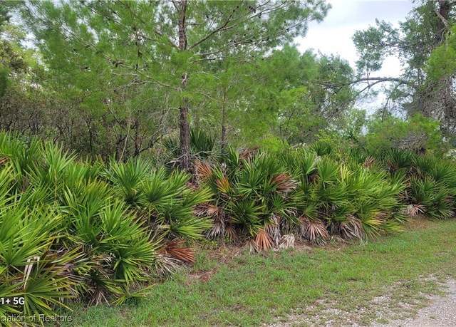 Property at 205 Serenade Dr, Lake Placid, FL 33852