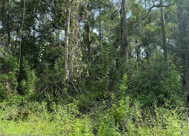 Property at 230 Pigeon Ave, Sebring, FL 33870