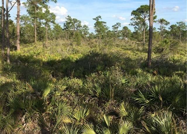 Property at 10804 Bending Oak Dr, Sebring, FL 33875
