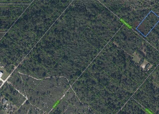 Property at 1220 Buttonwood St, Lake Placid, FL 33852