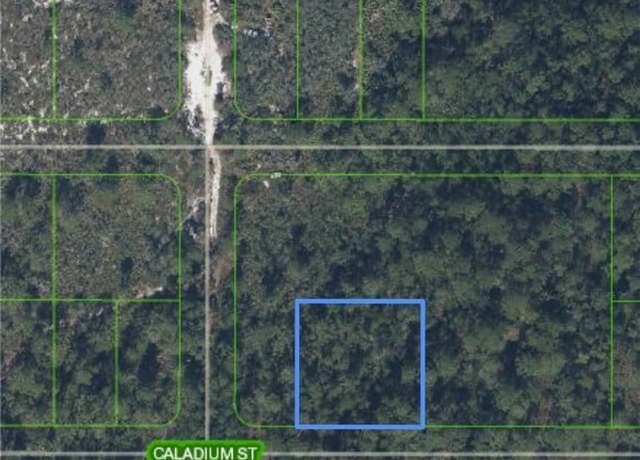 Property at 1504 Caladium St, Lake Placid, FL 33852