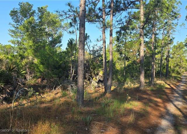 Property at 1605 Nectar Ave, Sebring, FL 33875