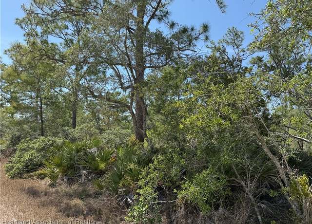 Property at 3125 Tremont Ave, Lake Placid, FL 33852