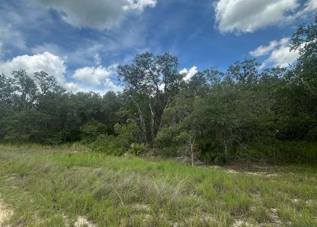 Property at 3064 W Ryder Rd, Avon Park, FL 33825