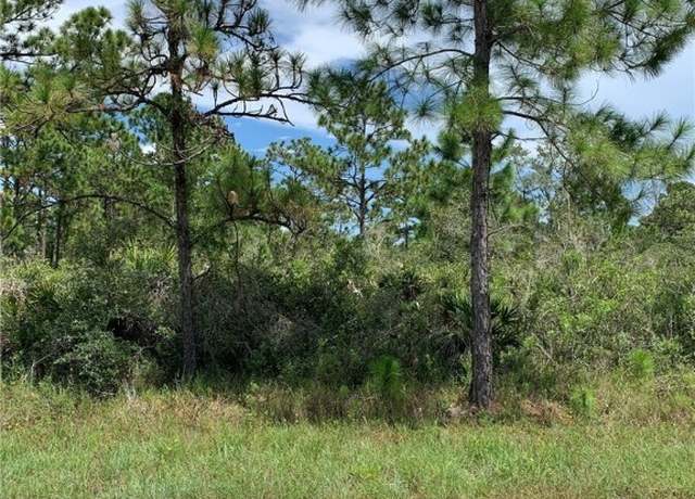Property at 352 Otter Ave NW, Lake Placid, FL 33852