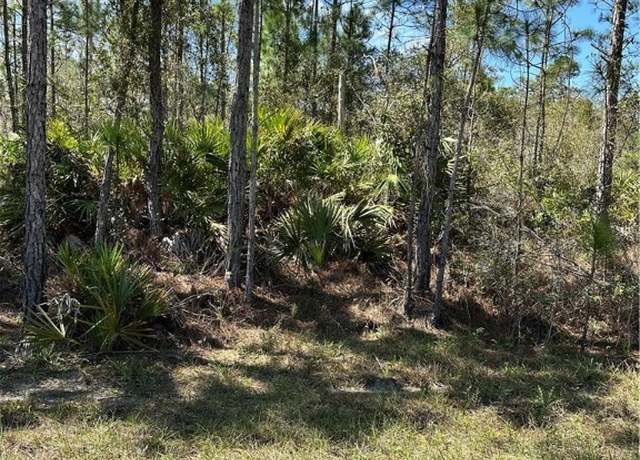 Property at 628 Barclay St, Lake Placid, FL 33852