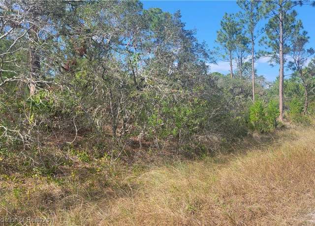 Property at 3217 Savannah Sparrow Ave, Lake Placid, FL 33852