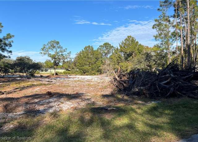 Property at 1028 Mimosa St, Lake Placid, FL 33852