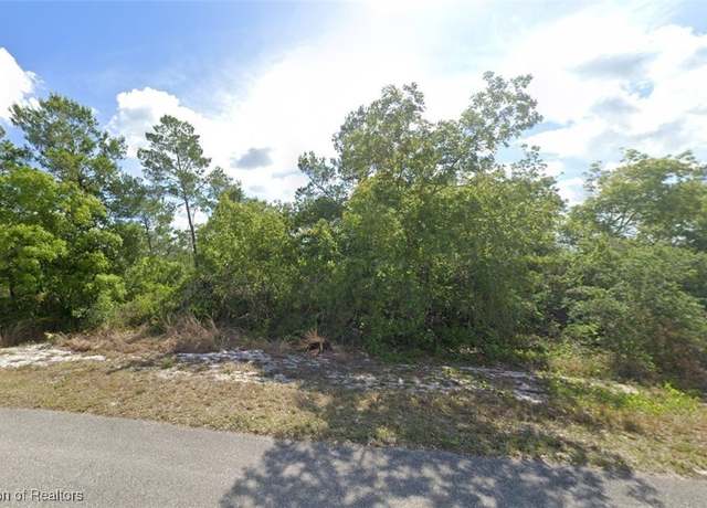 Property at 216 Figi Way NE, Lake Placid, FL 33852