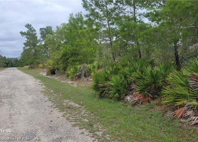 Property at 1201 Ailanthus St, Lake Placid, FL 33852