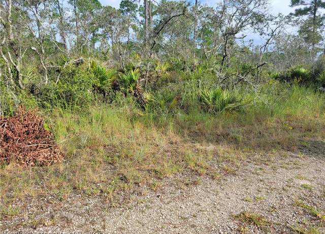 Property at 656 Neale St, Lake Placid, FL 33852