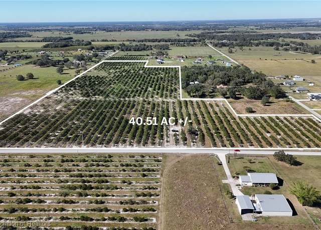 Property at Altman Rd, Wauchula, FL 33873