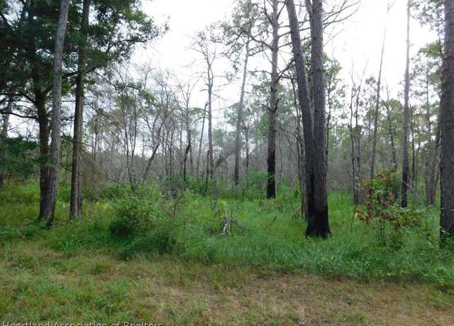 Property at 1728 S Gabriel Rd, Avon Park, FL 33825