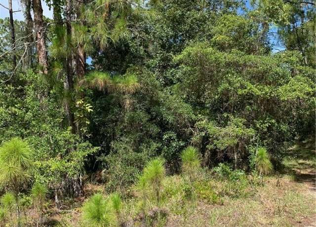 Property at 379 Imagination Dr, Lake Placid, FL 33852