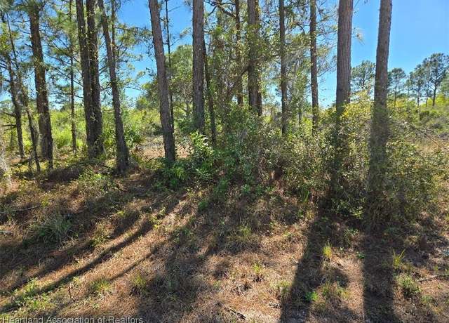 Property at 279 Blue Moon Ave, Lake Placid, FL 33852