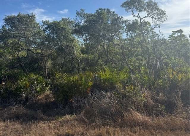 Property at 603 Ron Adams Pl, Lake Placid, FL 33852