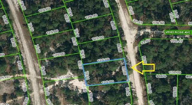 Photo of 482 Summer Hill Dr, Lake Placid, FL 33852