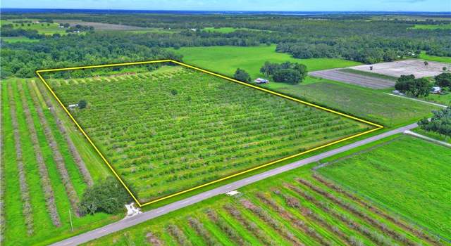 Photo of Center Rd, Bowling Green, FL 33834