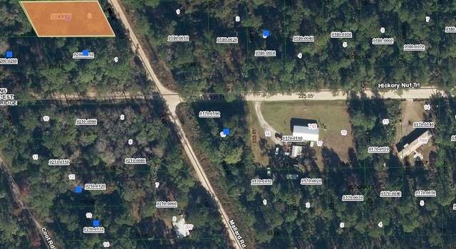 Photo of 123 Mallard Rd, Satsuma, FL 32189