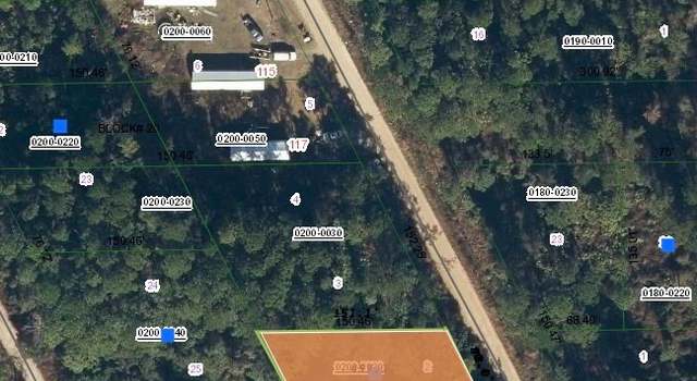 Photo of 123 Mallard Rd, Satsuma, FL 32189
