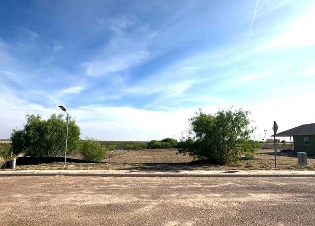 Property at 8233 Mejia Rd, Laredo, TX 78043