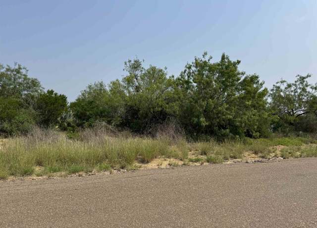 Property at 507 Penguin St, Zapata, TX 78076