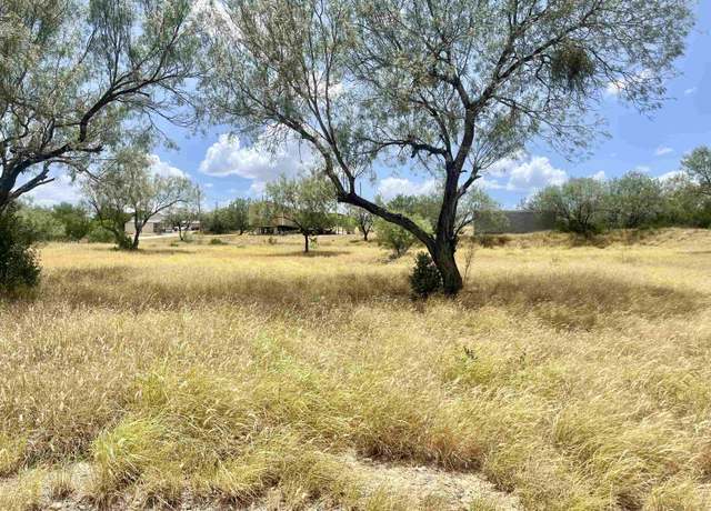 Property at 410 Condor Ave, Zapata, TX 78076