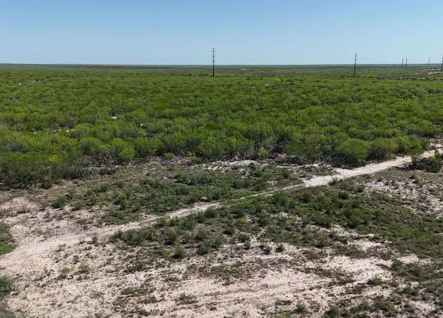 Property at 27 ACRES Mangana-hein Rd, Laredo, TX 78046