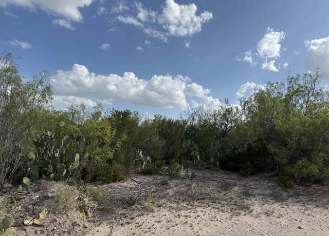 Property at 000 Las Pilas Rd, Laredo, TX 78044