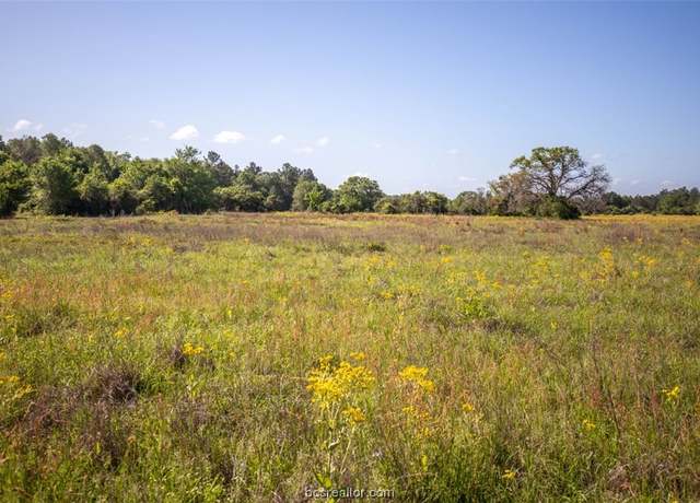 Property at TBD Red Hill Rd, Bedias, TX 77831