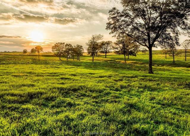 Property at TBD Sunshine Lot 13 Ct, Chappell Hill, TX 77426