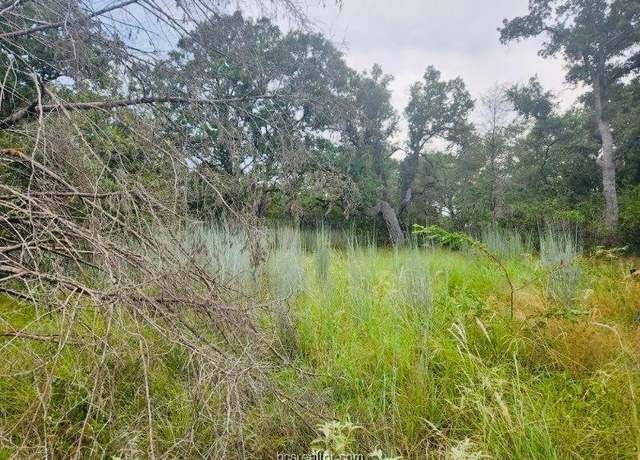 Property at TBD Odin St, Somerville, TX 77879