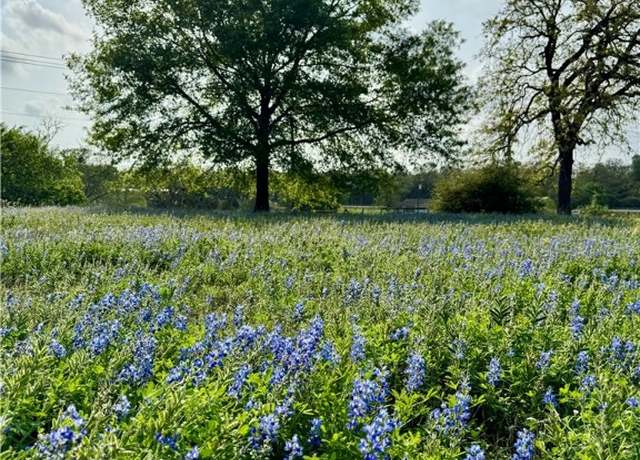 Property at 15420 Arhopulos Rd, College Station, TX 77845