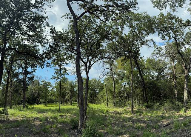 Property at TBD E Bell Ln, Franklin, TX 77856
