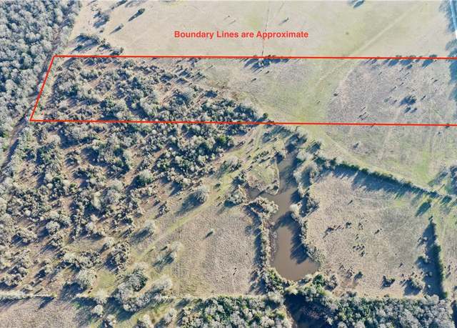 Property at Tract 3 County Road 124, Bedias, TX 77831