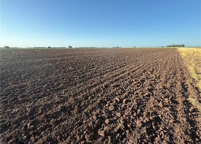 Property at TBD Highway 50 (203.4050 Acres), Snook, TX 77878