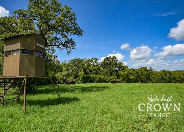 Property at TBD FM 908 (+/-1,057 Acres), Caldwell, TX 77836