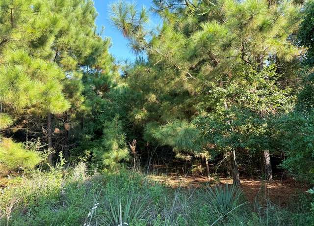 Property at TBD Jamaica Ln, Normangee, TX 77871