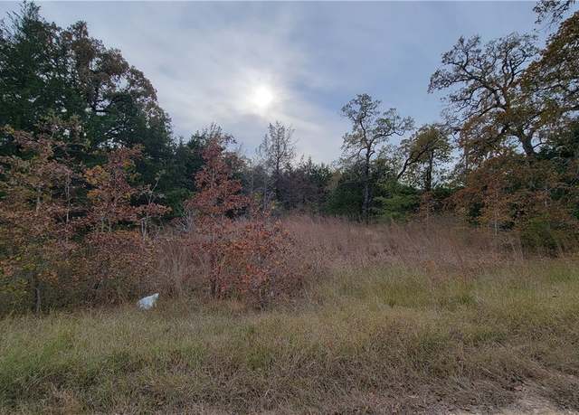 Property at TBD FM 1361, Somerville, TX 77879