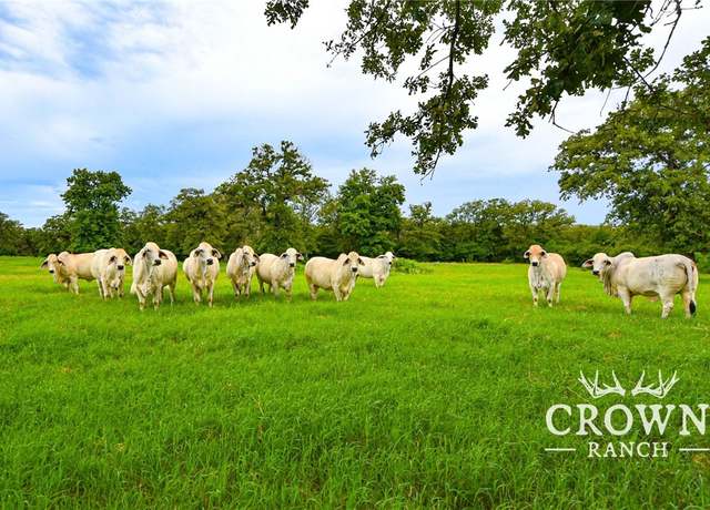 Property at TBD FM 908 (+/-657 Acres), Caldwell, TX 77836