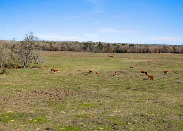Property at 95 Acres +/- County Road 234, Milano, TX 76556