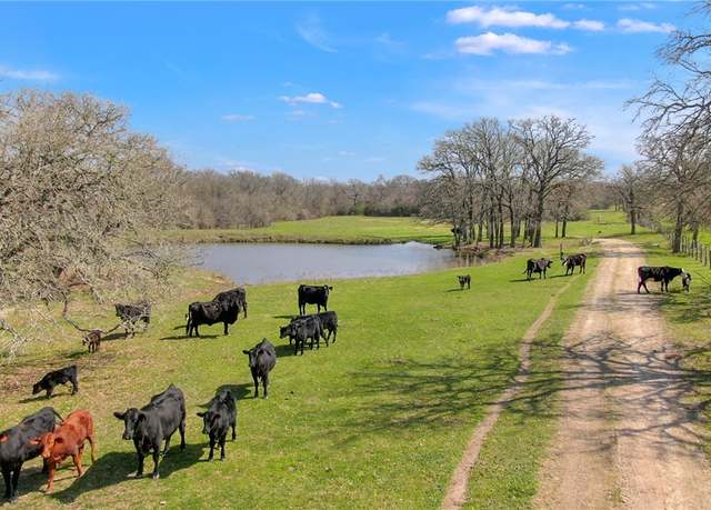 Property at 12548 Democrat Rd, Bryan, TX 77808